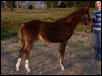 Spirit@ 6 months