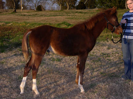 Spirit@ 6 months
