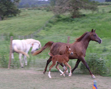 running
