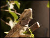 Branch 2