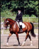 tipmyhat
