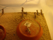 Sandfire babies