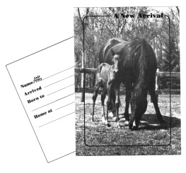 Birth announcement post card