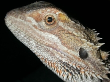 wAzza! Im giving you the look ! :)