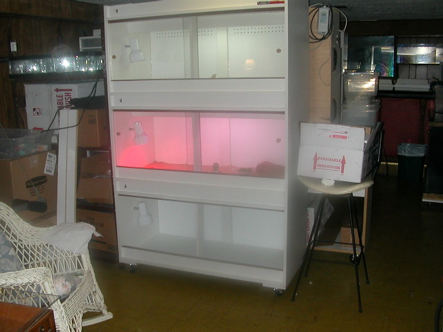 Newly built rack.