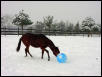 Chasing Ball