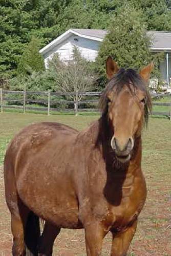 Hi, Mr Ed has nuthin on me!