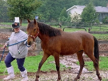 Encantador and our friend Wanda