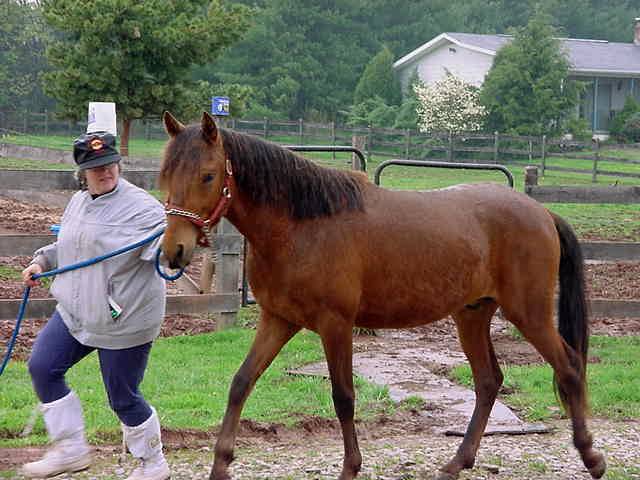 Encantador and our friend Wanda