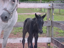 Rio and Mama