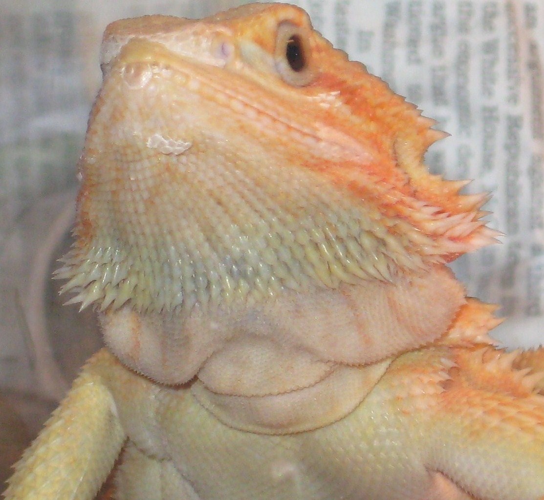 Kiah