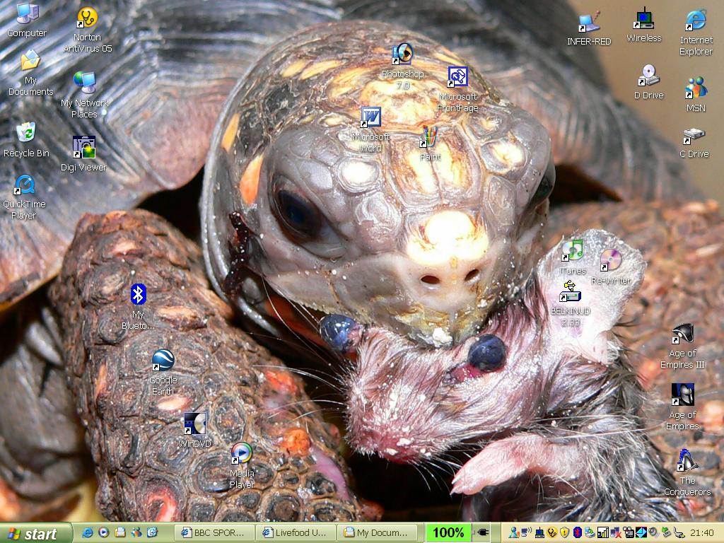 MY BACKGROUND WALLPAPER