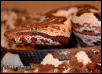 Isabel Island Boa
