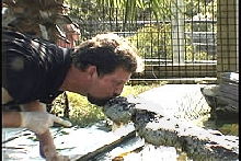 UTAN Kiss
