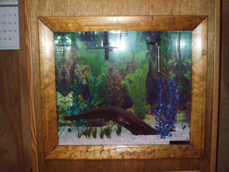 Fish Tank