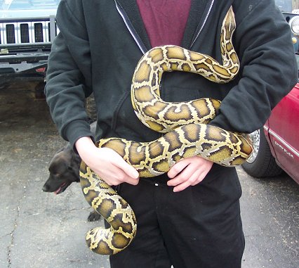 Burm and my boy