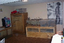 Reptile room