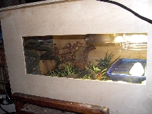 niles terrarium