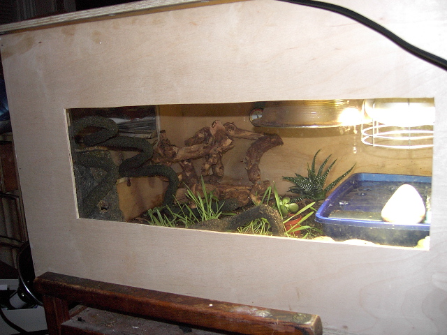 niles terrarium