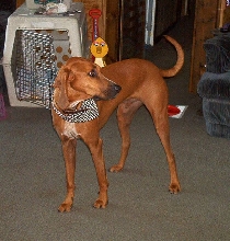 Is this my best side?