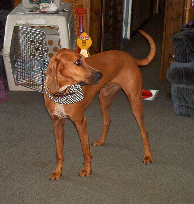 Is this my best side?