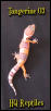 hypo tang baby 3