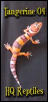 hypo tang baby #4
