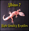 albino baby #2
