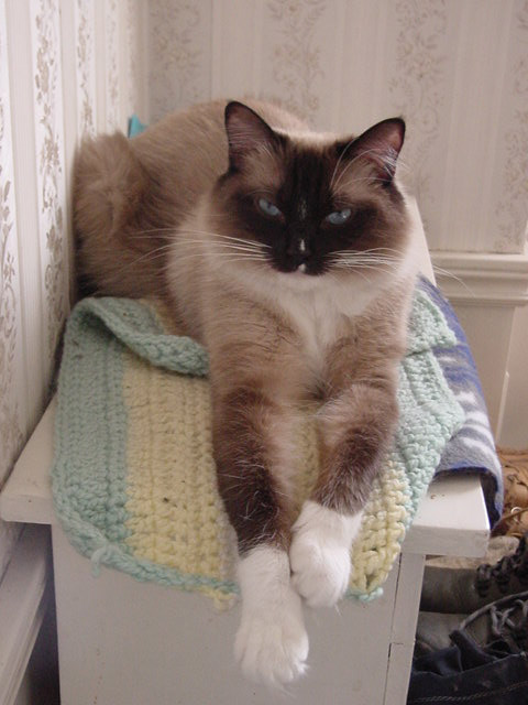 Java