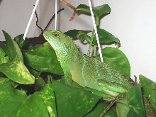 Sei november 2002