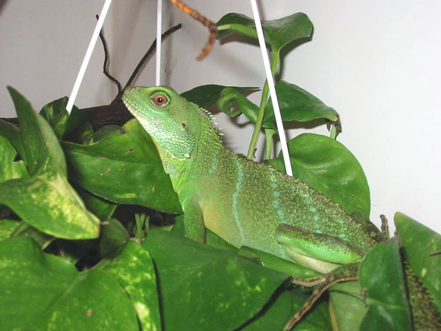 Sei november 2002
