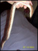 Female kenyan