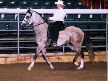 Tunica 2001