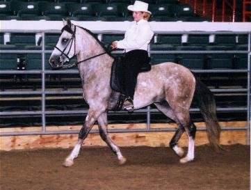 Tunica 2001