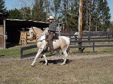Beau Elegante del Caron