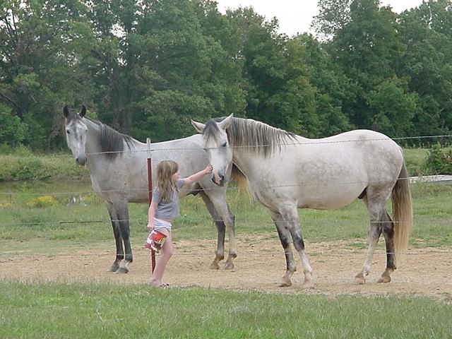 Jen, Coronel, & Harley