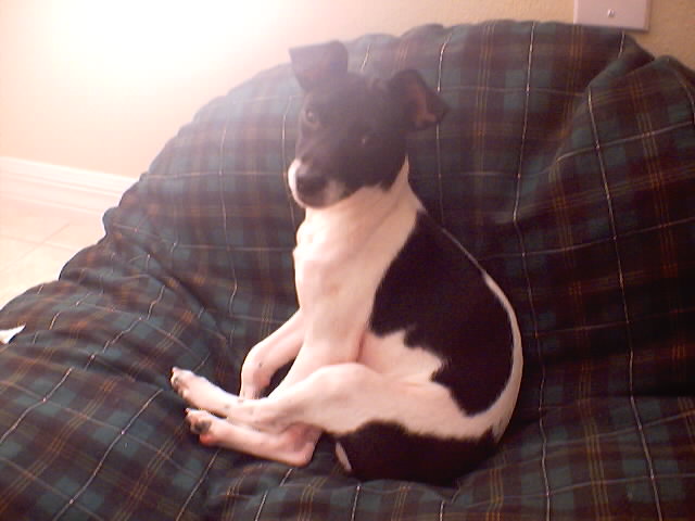 Jacob