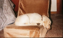 My own chair