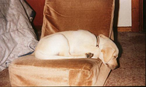 My own chair