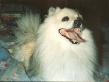 Beloved friend