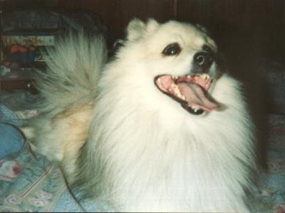 Beloved friend