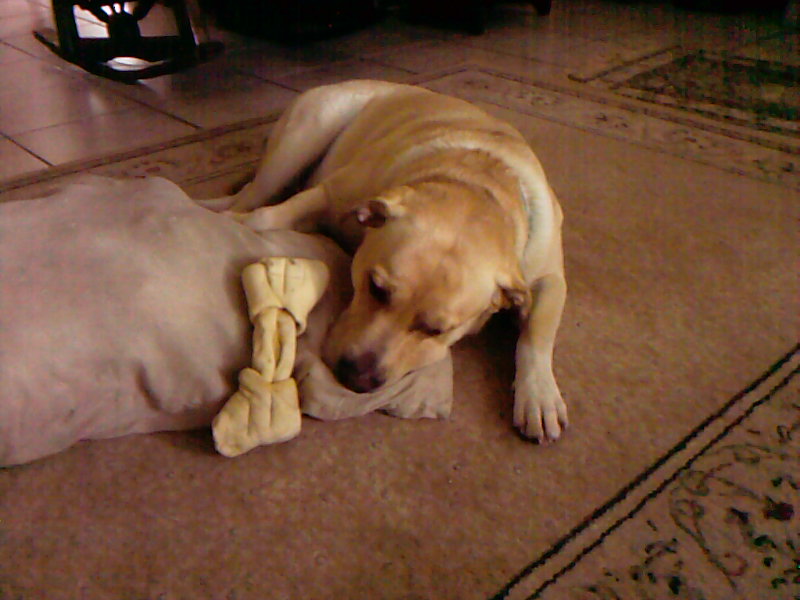 Me and my pillow