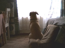 What's out there?