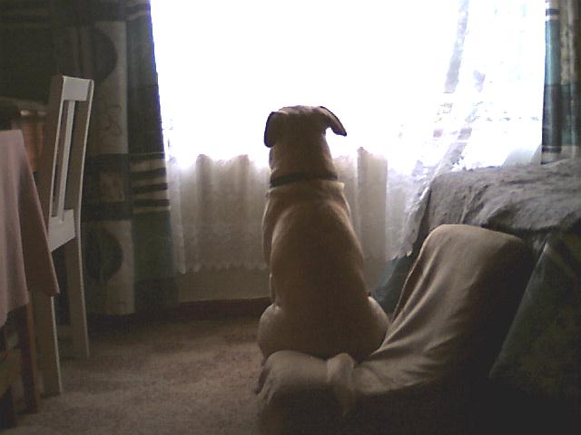 What's out there?