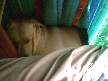 Nap time
