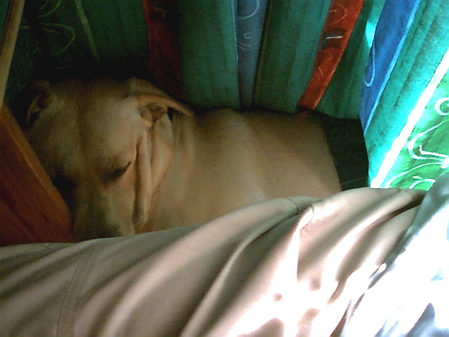 Nap time