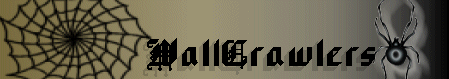 Web banner