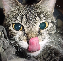 Mmmmm Boogers!!!