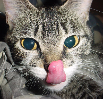 Mmmmm Boogers!!!