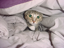 Suzie emerges from her cave!